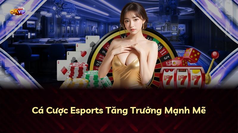 Cá Cược Esports Tăng Trưởng Mạnh Mẽ