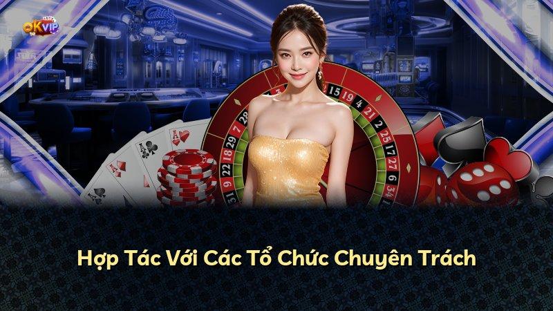 Hợp Tác Với Các Tổ Chức Chuyên Trách