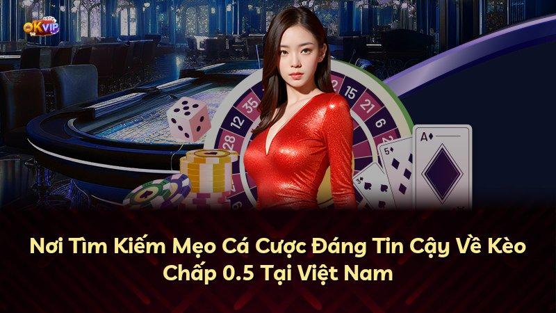Nơi Tìm Kiếm Mẹo Cá Cược Đáng Tin Cậy Về Kèo Chấp 0.5 Tại Việt Nam