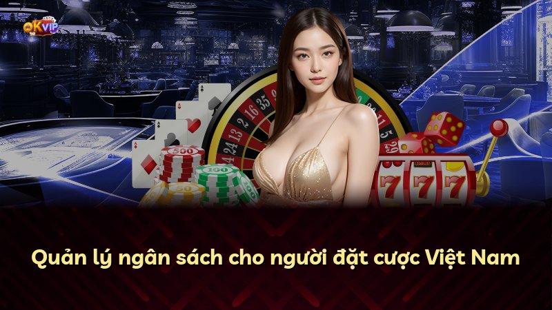 Quản lý ngân sách cho người đặt cược Việt Nam