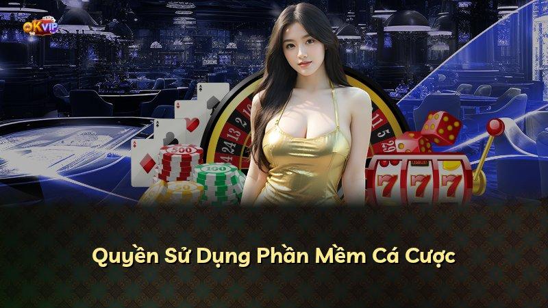 Quyền Sử Dụng Phần Mềm Cá Cược